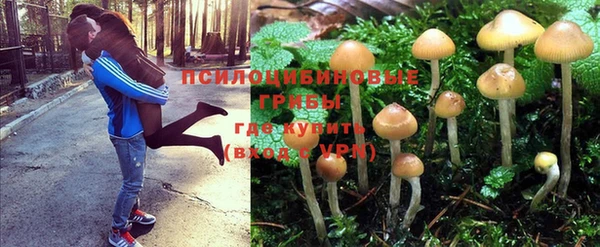 молекула духа Корсаков
