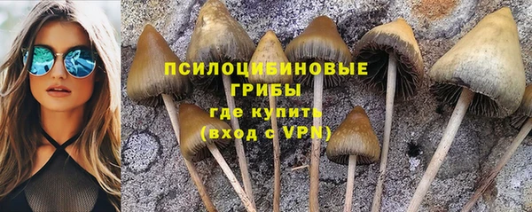 молекула духа Корсаков